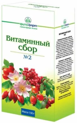 Витаминный сбор №2, сырье растительное измельченное, 100 г, 1 шт.