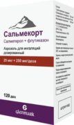 Сальмекорт, 25 мкг+250 мкг/доза, 120 доз, аэрозоль для ингаляций дозированный, 1 шт.