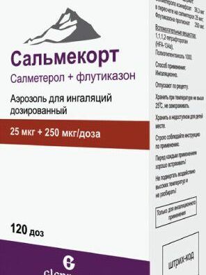 Сальмекорт, 25 мкг+250 мкг/доза, 120 доз, аэрозоль для ингаляций дозированный, 1 шт.