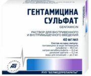 Гентамицин, 40 мг/мл, раствор для внутривенного и внутримышечного введения, 2 мл, 5 шт.